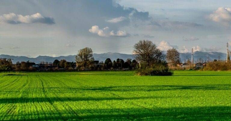 Paderno Dugnano guarda al nuovo Parco regionale del Seveso, Villoresi e Brianza Centrale Paderno Dugnano parco